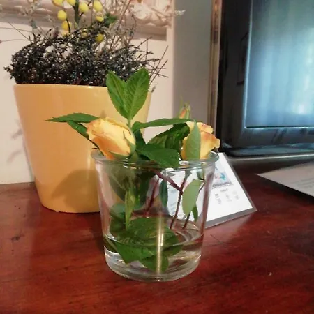 Frühstückspension A Casa Di Gio'